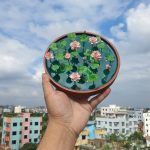 Premium Quality Poddo Pukur