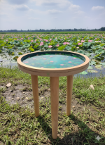 পদ্মপুকুর টেবিল - Image 2