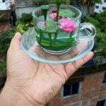 গ্লাসের ভিতরে পদ্মপুকুর