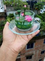 গ্লাসের ভিতরে পদ্মপুকুর