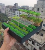 Agriculture project - Image 4