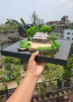 বিলের মধ্যে বাড়ি - Image 3