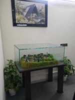 Company Project - Image 4