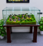 Company Project - Image 5